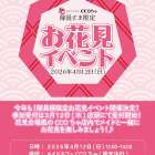 【隊員様限定】お花見イベント開催のお知らせ